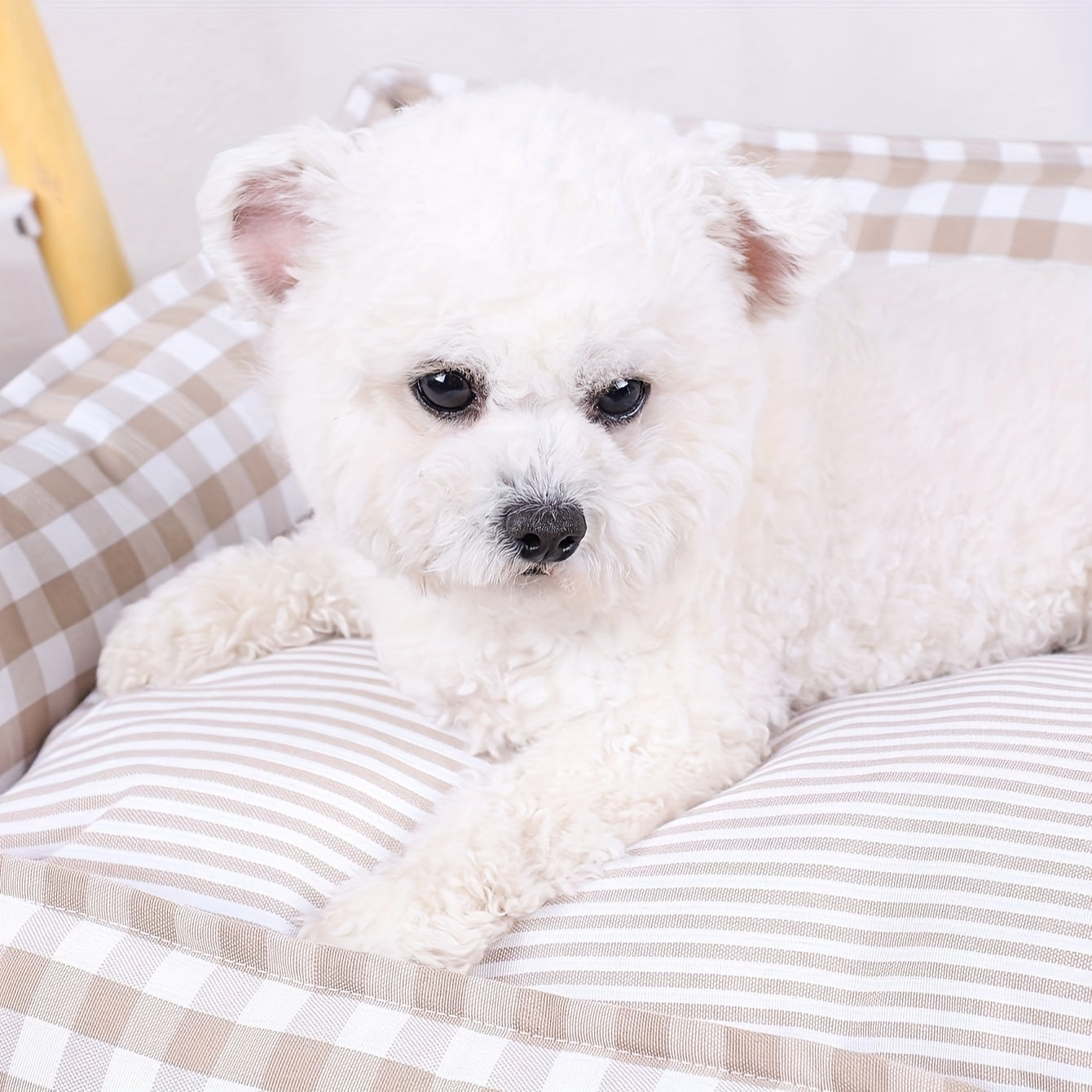 Cozy Checkered Pet Bed for Dogs & Cats - Removable Washable Polyester Nest, All-Season Indoor Comforter-Style Bedding with Vacuum Packaging for Easy Storage, Plush Cushion, Durable Construction, Home Pets