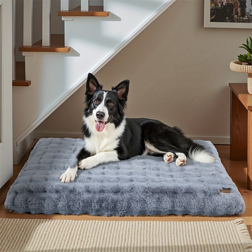 Bingopaw Large Dog Bed - Thick Foam Base & Removable Cover, Multiple Sizes (M-XXXXL), Plush Sponge Pet Bed for Medium/Small/Large Dogs & Cats, Cozy Sleeping Area with Removable Cover, Dog Bed, Cozy Pet Furniture, Plush Pet Bed, Durable Pet Furniture