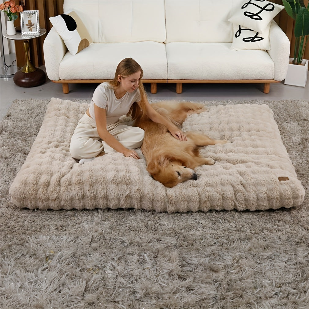 Bingopaw Large Dog Bed - Thick Foam Base & Removable Cover, Multiple Sizes (M-XXXXL), Plush Sponge Pet Bed for Medium/Small/Large Dogs & Cats, Cozy Sleeping Area with Removable Cover, Dog Bed, Cozy Pet Furniture, Plush Pet Bed, Durable Pet Furniture